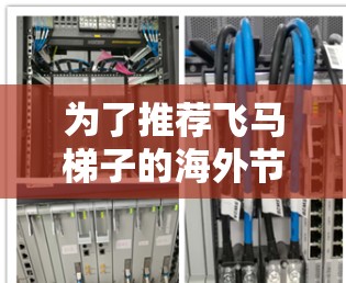 为了推荐飞马梯子的海外节点，您需要考虑以下几个关键因素
