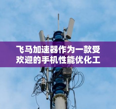 飞马加速器作为一款受欢迎的手机性能优化工具，综合来看，它在性能提升和用户体验方面表现不错。以下是对飞马加速器的详细分析和建议
