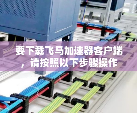 要下载飞马加速器客户端，请按照以下步骤操作