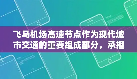 飞马机场高速节点作为现代城市交通的重要组成部分，承担着连接机场与市中心的关键任务。通过全面的分析，我们可以得出以下结论和建议