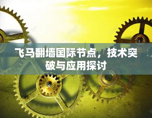 飞马翻墙国际节点，技术突破与应用探讨