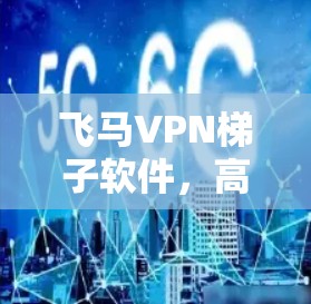 飞马VPN梯子软件，高效解决通信安全问题