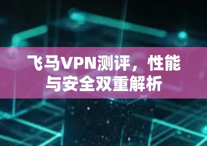 飞马VPN测评，性能与安全双重解析